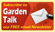 Subscribe to Garden Talk