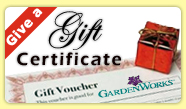 Give a Gift Certificate
