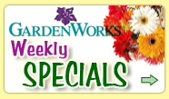 ArtKnapp's Weekly Specials